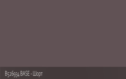 B526934 BASE - Шорт