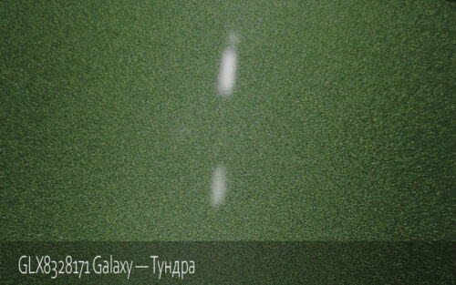 GLX8328171 Galaxy — Тундра